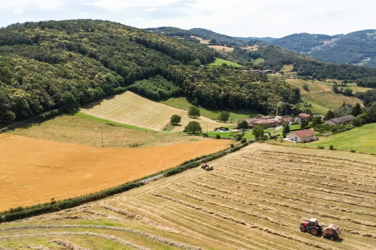 Vallée agricole avec prairies, champs moissonnés et tracteur